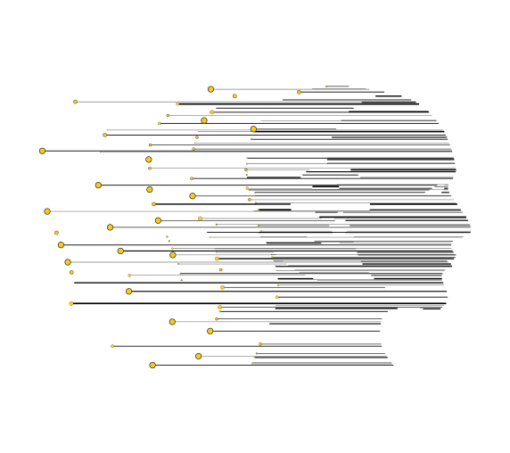 /storage/events_image/ee4c805b-f86b-4fcf-b903-cef326df43cf/14 голова цвет.png